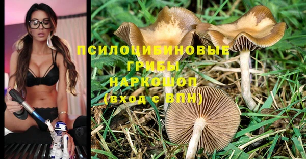 скорость Баксан
